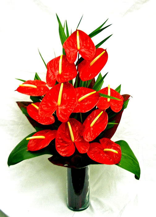 Mainland Shipping A Special Touch Florists serving Lahaina and West